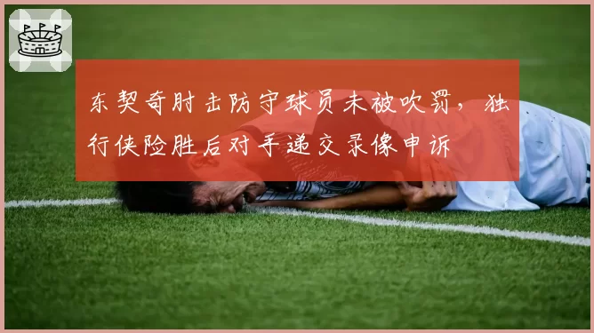 东契奇肘击防守球员未被吹罚，独行侠险胜后对手递交录像申诉