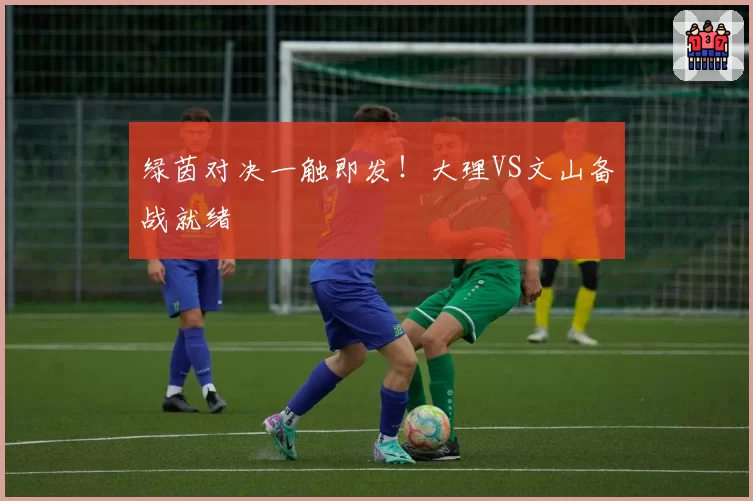 绿茵对决一触即发！大理VS文山备战就绪