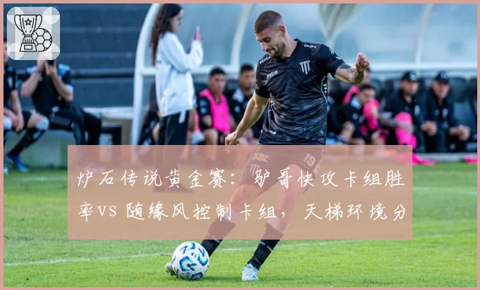 炉石传说黄金赛：驴哥快攻卡组胜率vs 随缘风控制卡组，天梯环境分化