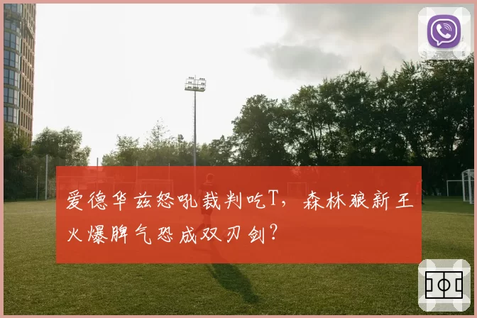 爱德华兹怒吼裁判吃T，森林狼新王火爆脾气恐成双刃剑？