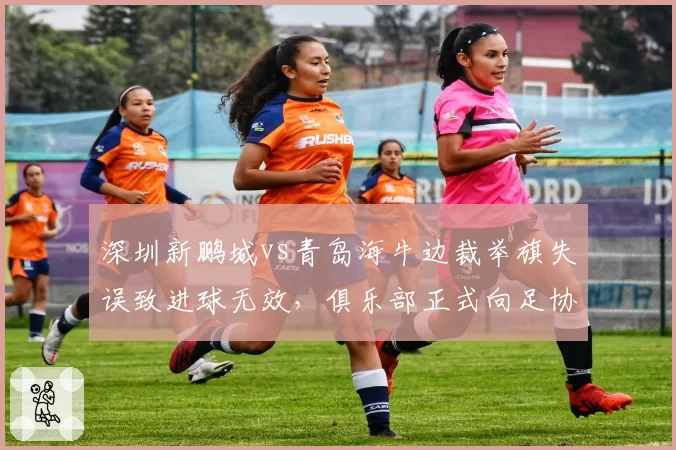 深圳新鹏城vs青岛海牛边裁举旗失误致进球无效，俱乐部正式向足协申诉